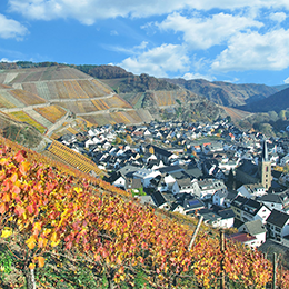 Stadtblick Bad Neuenahr-Ahrweiler