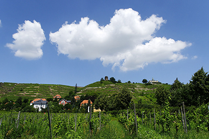 Malerische Natur in Radebeul