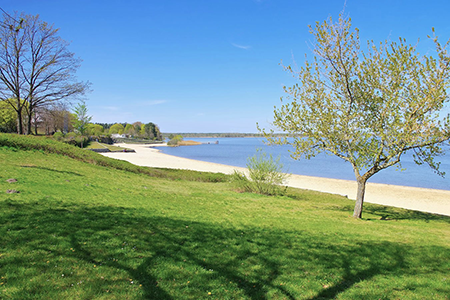 Senftenberger See