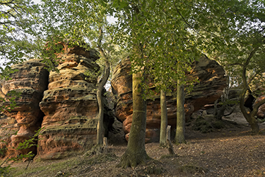 Katzensteine im Mechernicher Wald